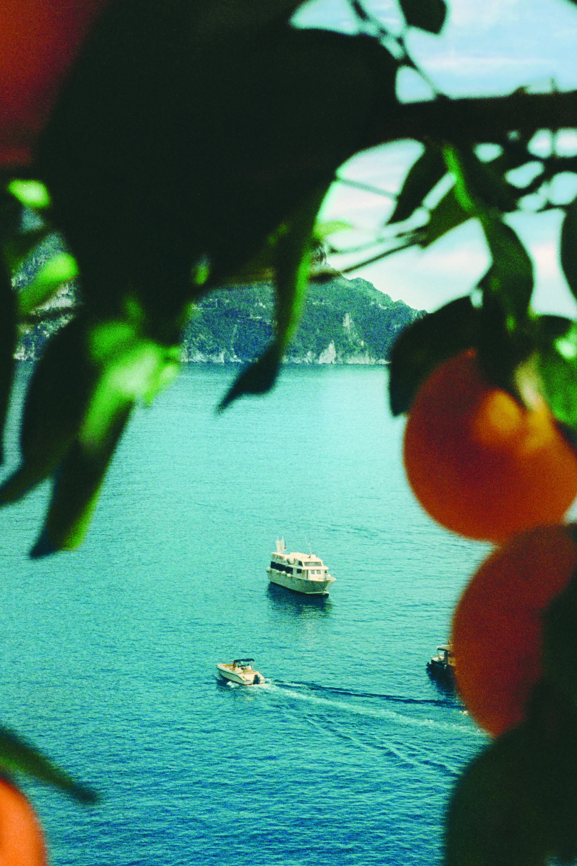 Replica Never-Ending Summer