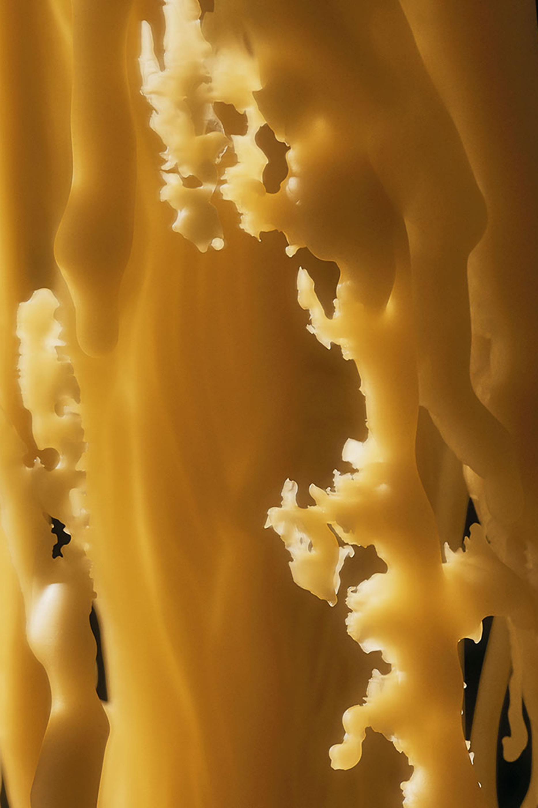 Honey Beeswax Candleholder 