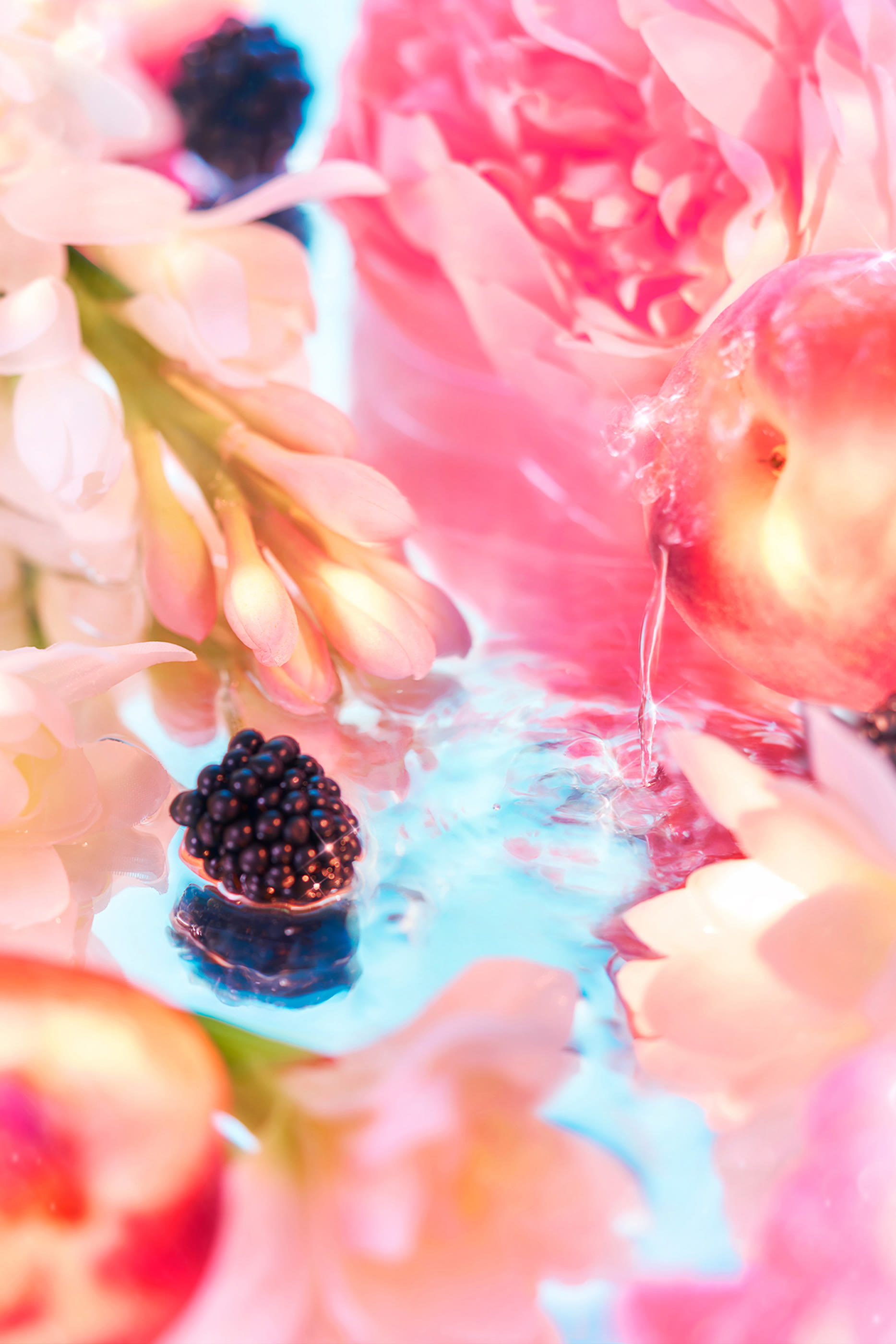 Elysium Pour Femme Eau de Parfum Eid Coffret 2025