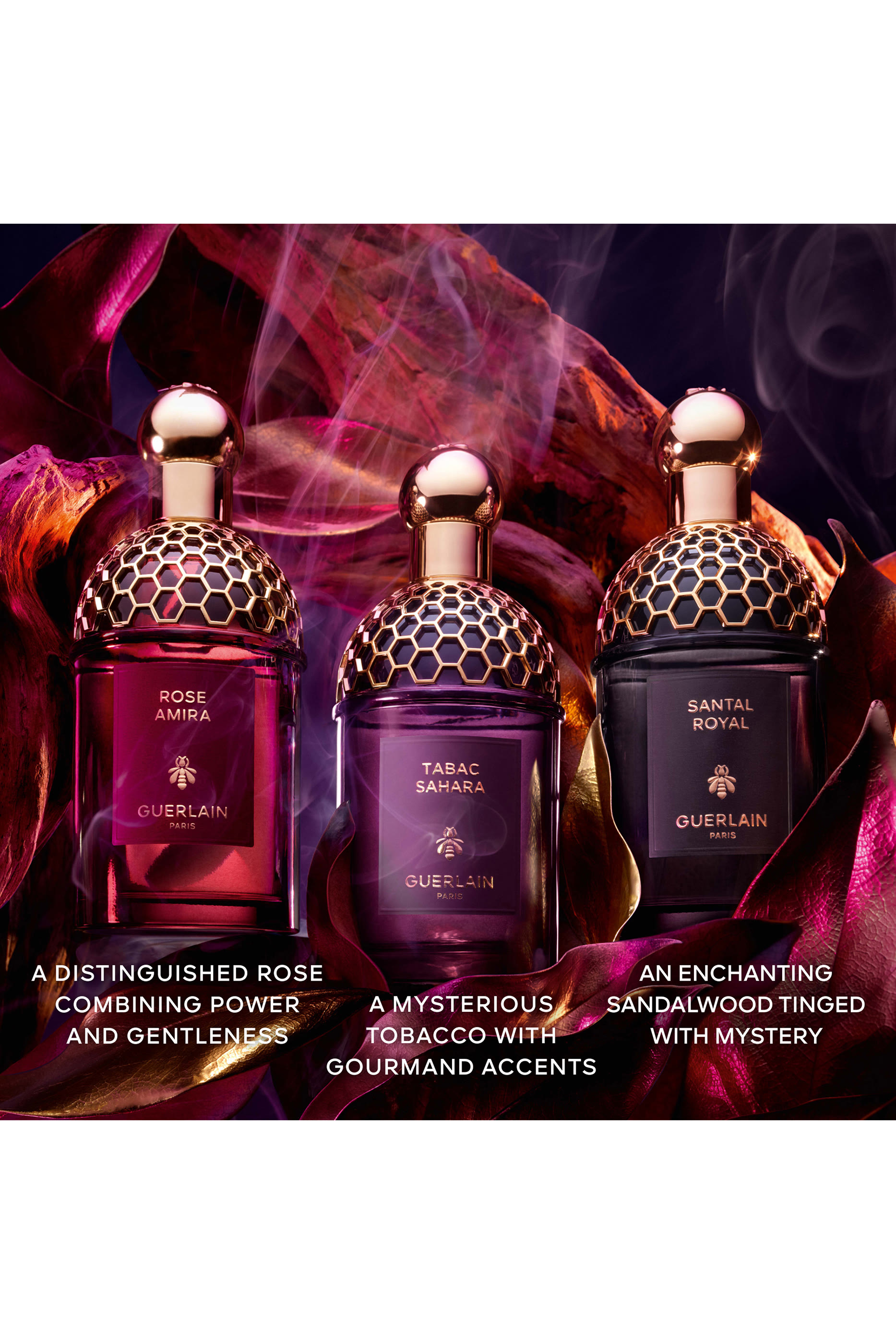 Absolus Allegoria Tabac Sahara Eau de Parfum