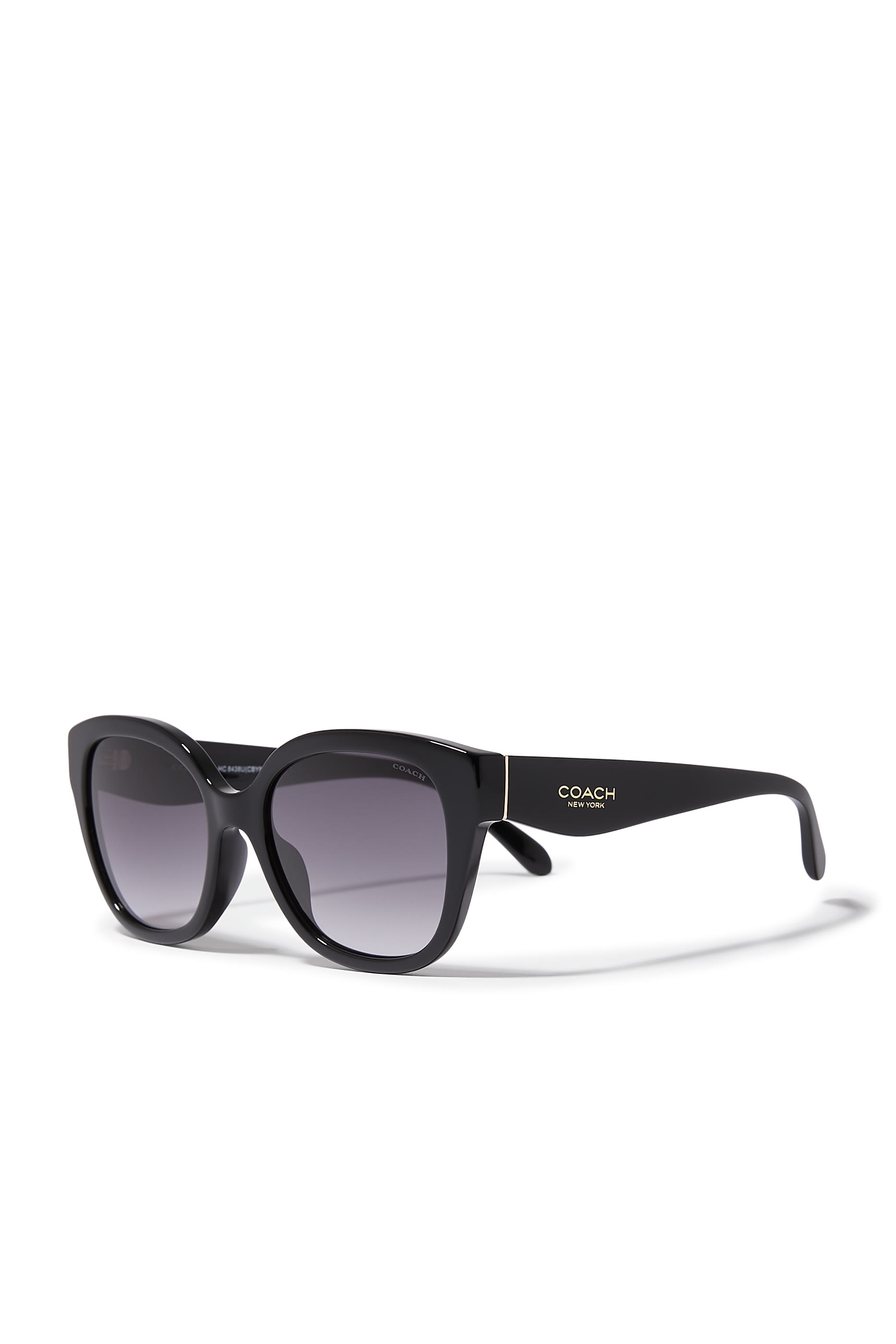 Wayfarer Frame NY Temple Sunglasses