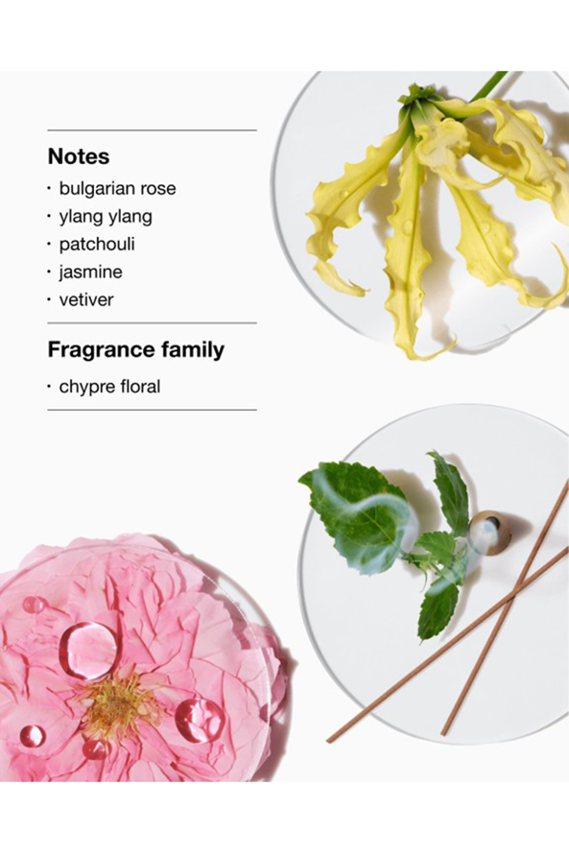 Aromatics Elixir Riches Perfume Set