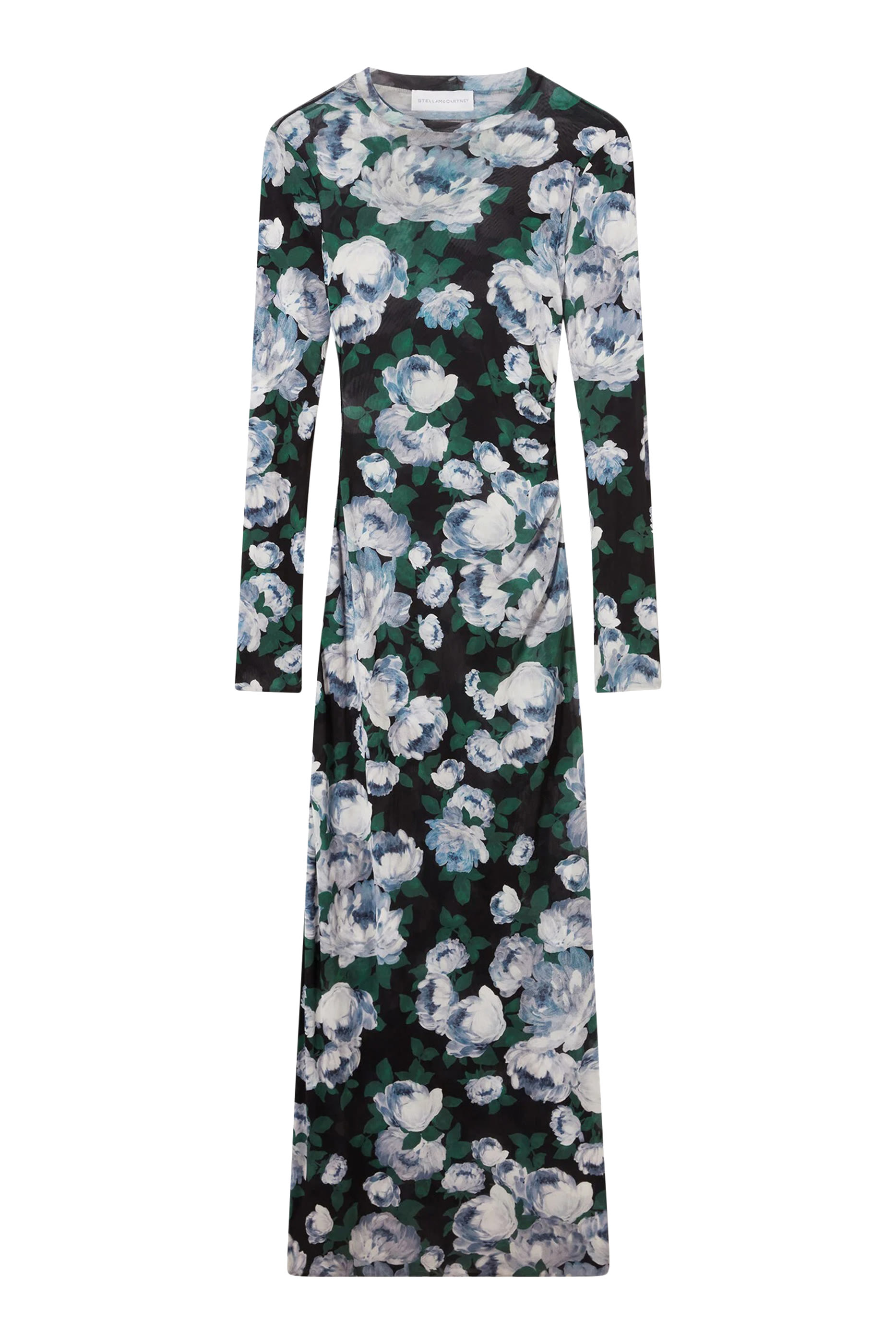 Bunch of Roses Mesh Maxi Dress