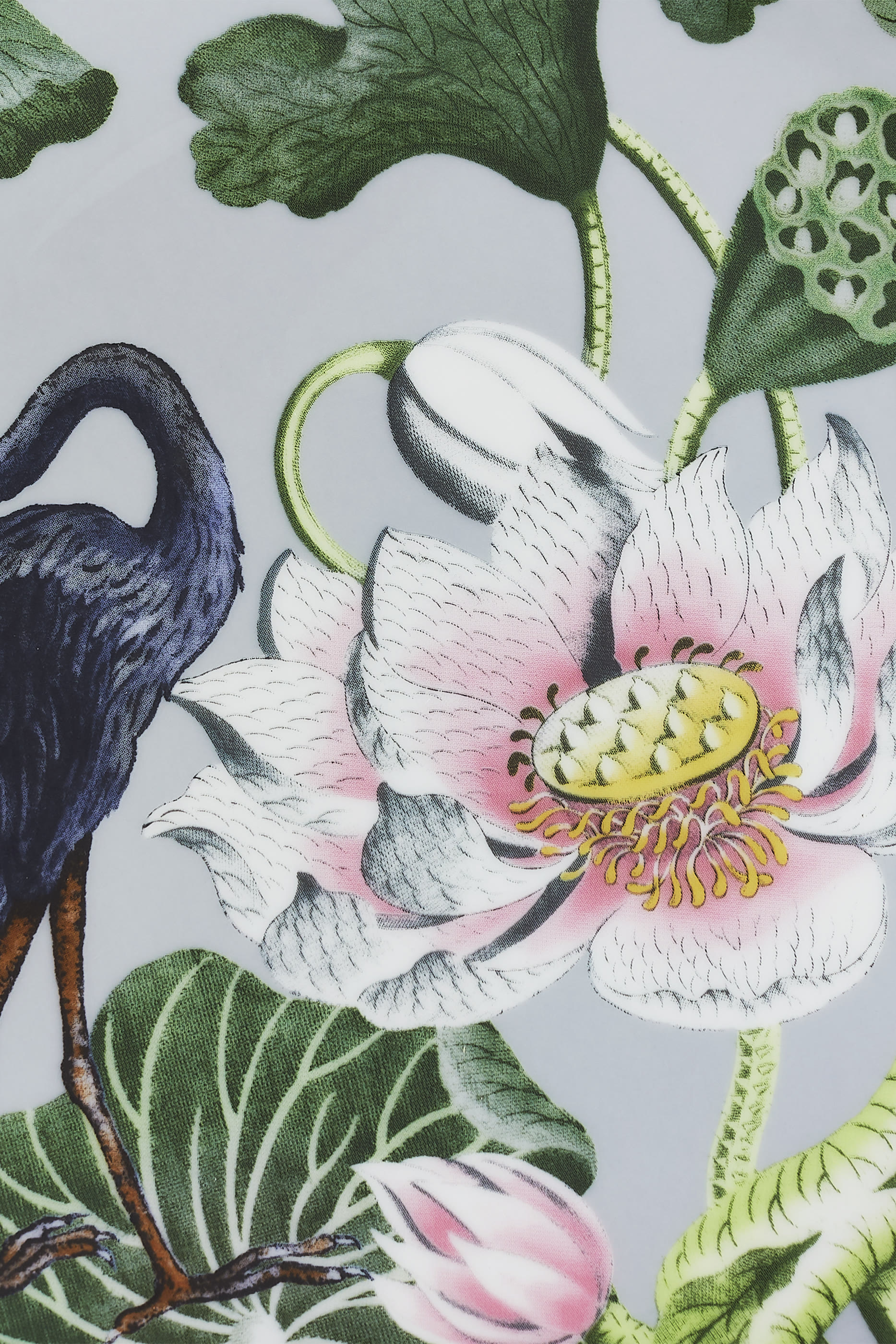 Wonderlust Waterlily Plate