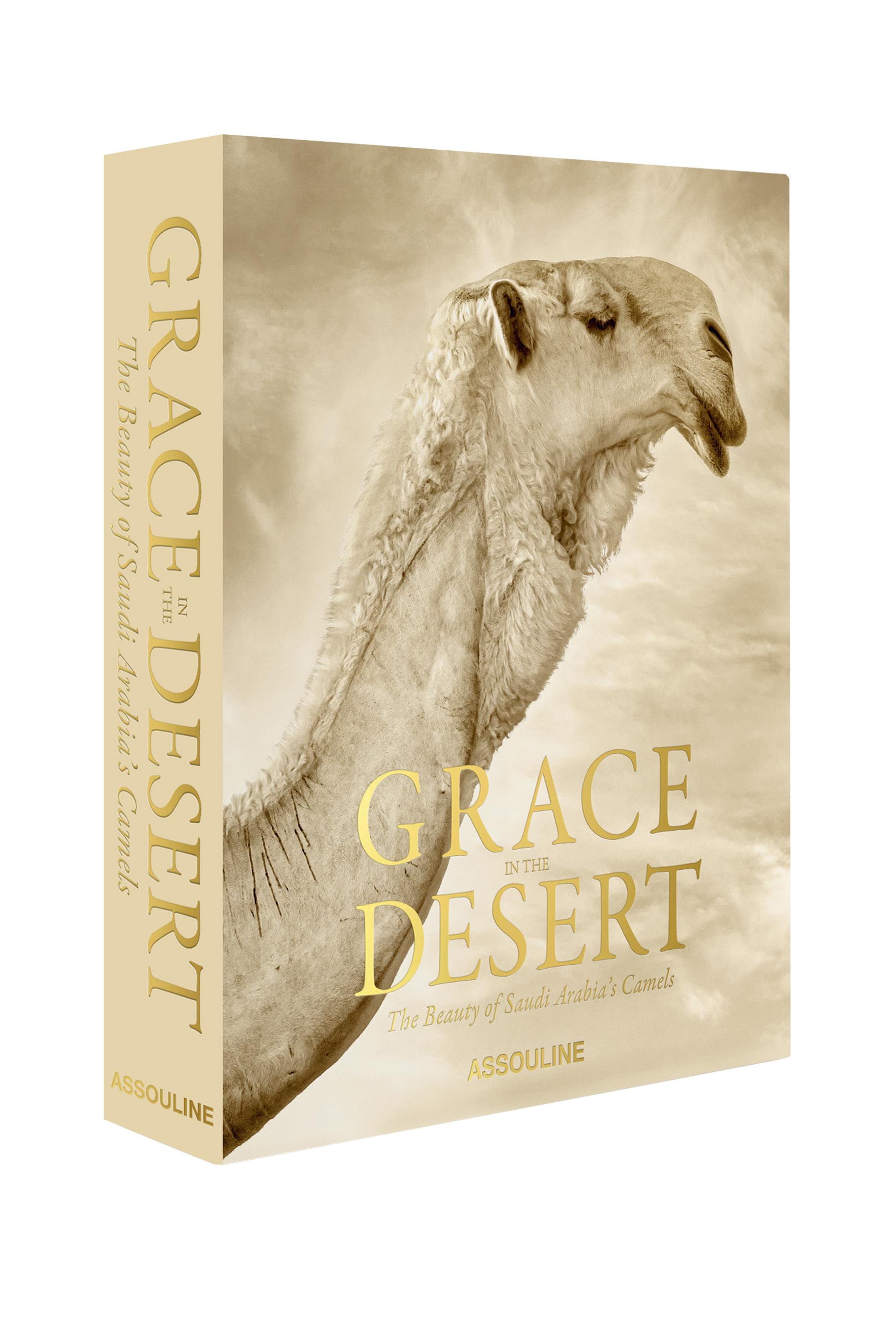 Grace in the Desert: The Beauty of Saudi Arabia&rsquo;s Camels