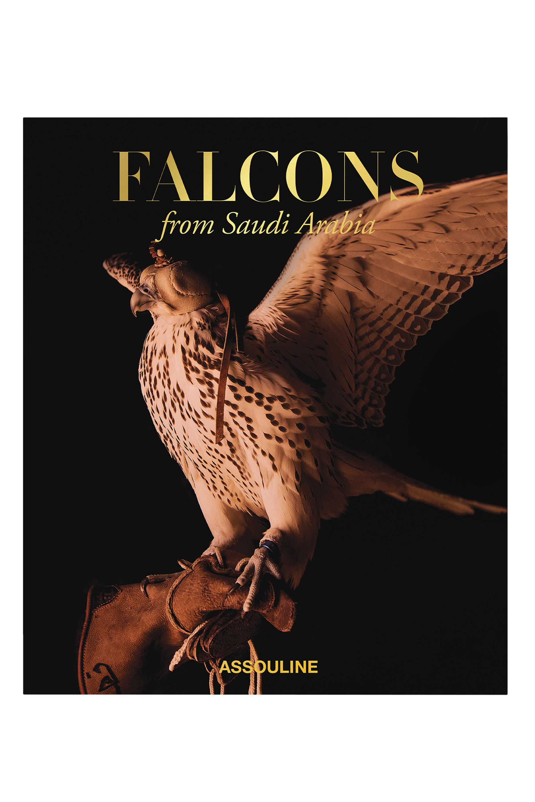 Falcons From Saudi Arabia
