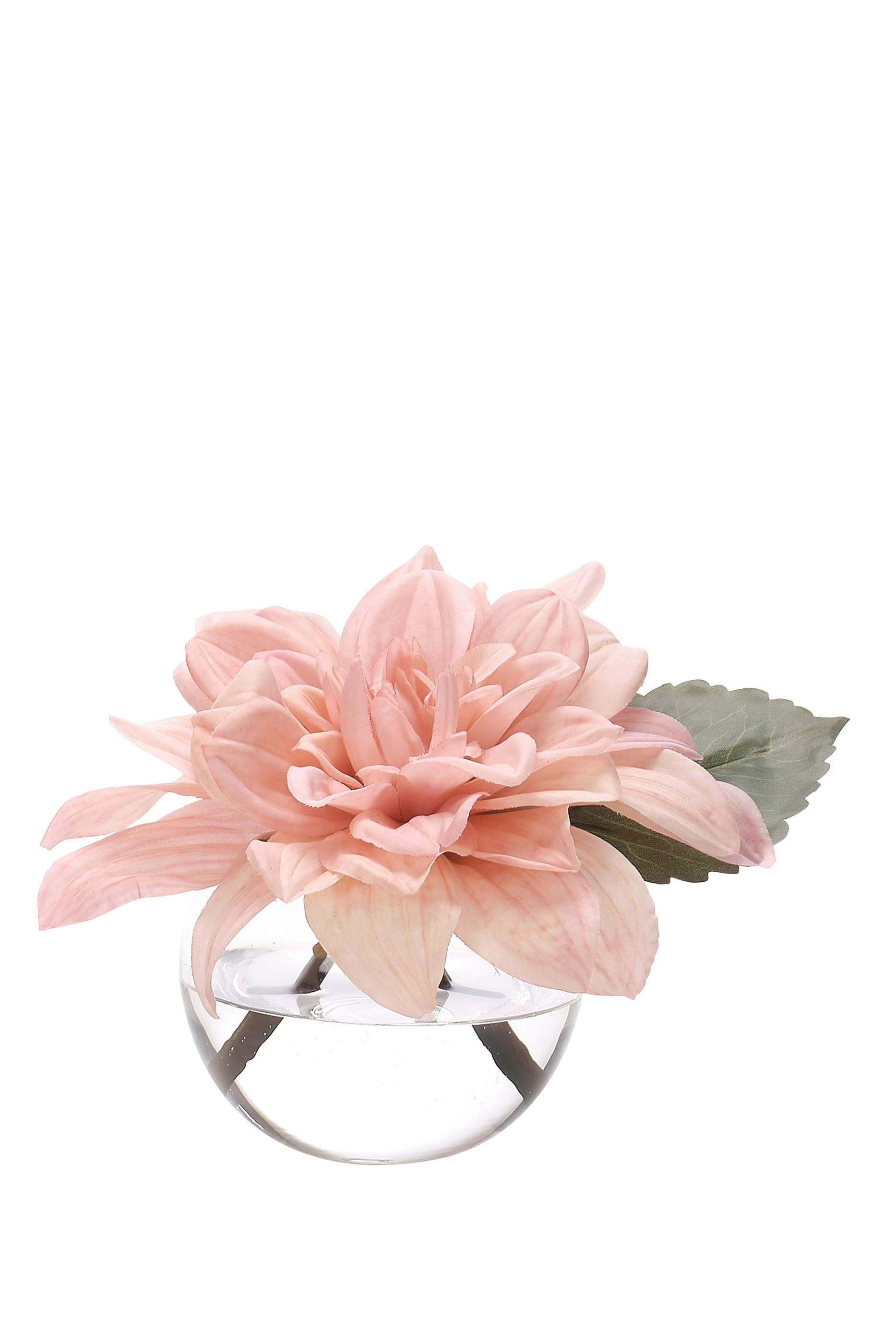 Dahlia - Faux Watergarden