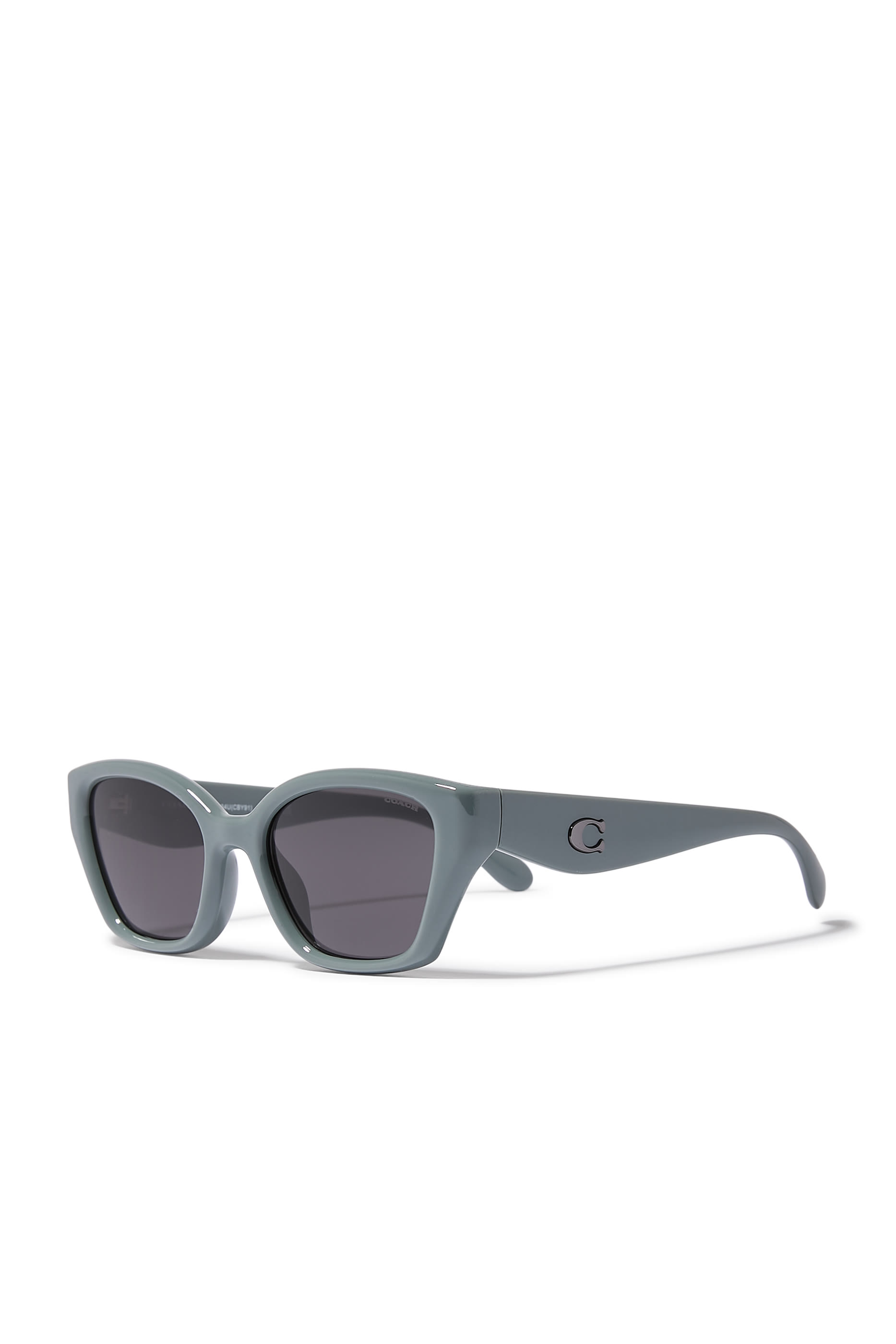 Irreg Frame Sculpted C Logo Temple Sunglasses