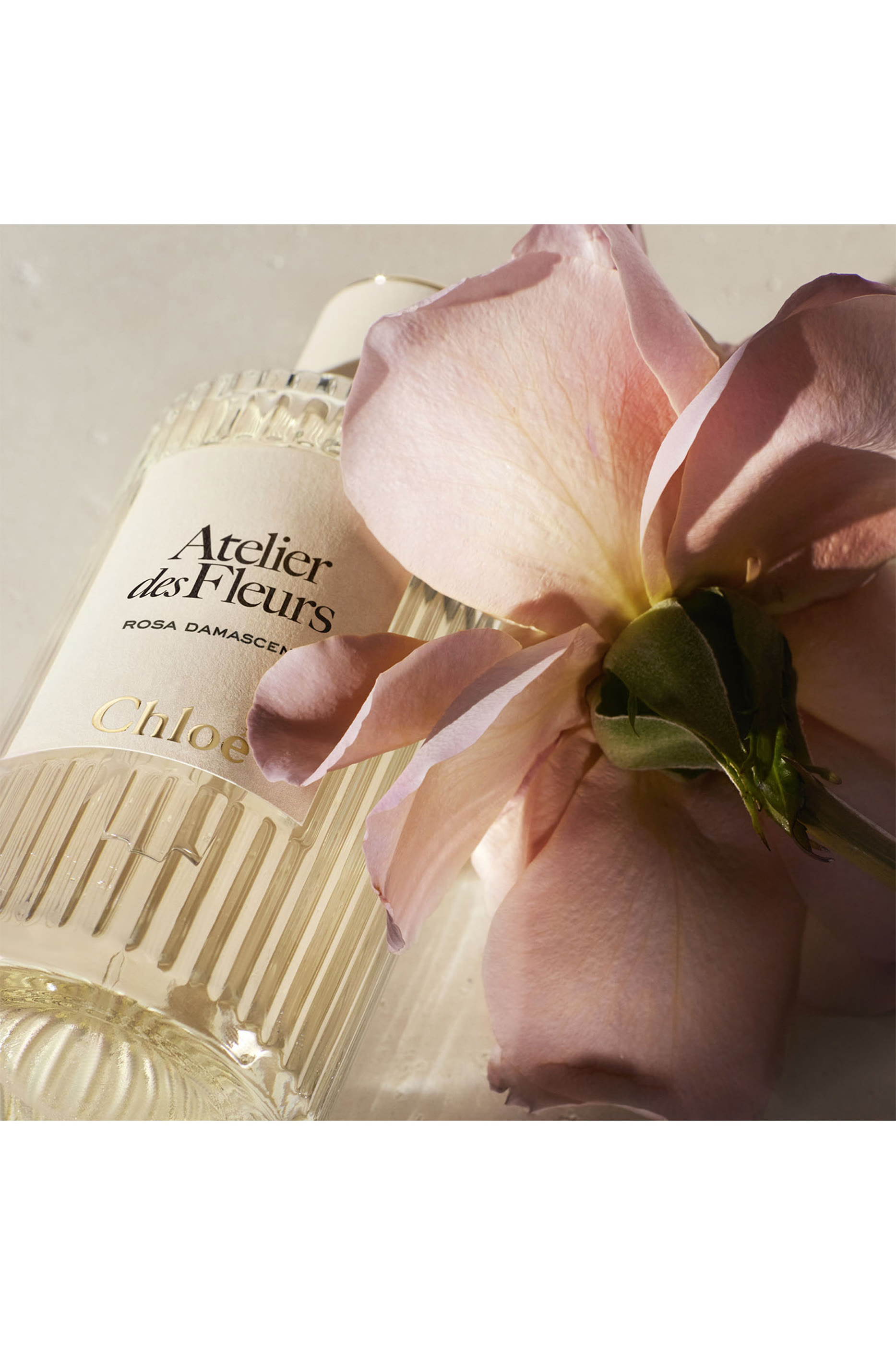 Atelier des Fleurs Rosa Damascena Eau de Parfum
