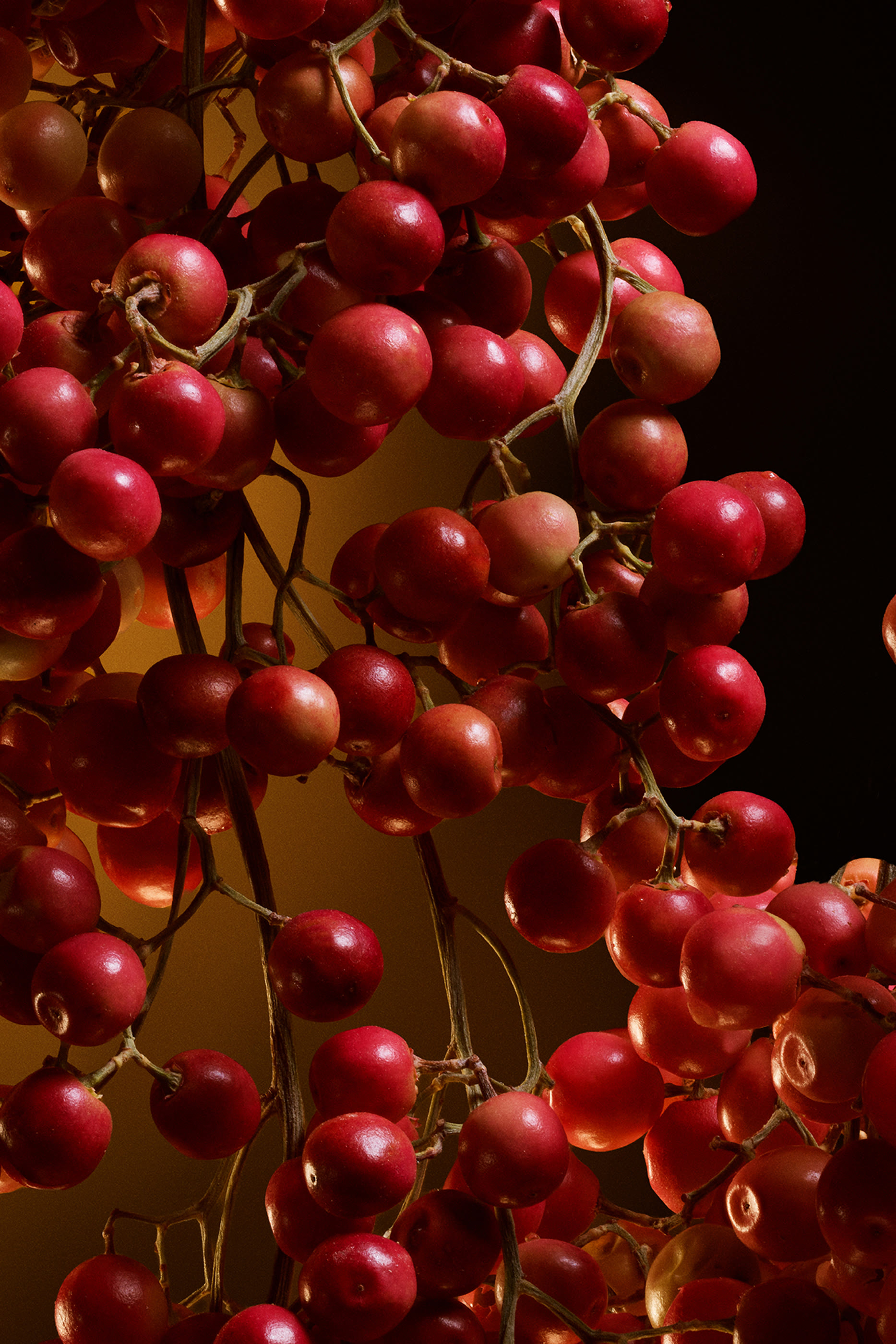 The One Eau de Parfum Intense 