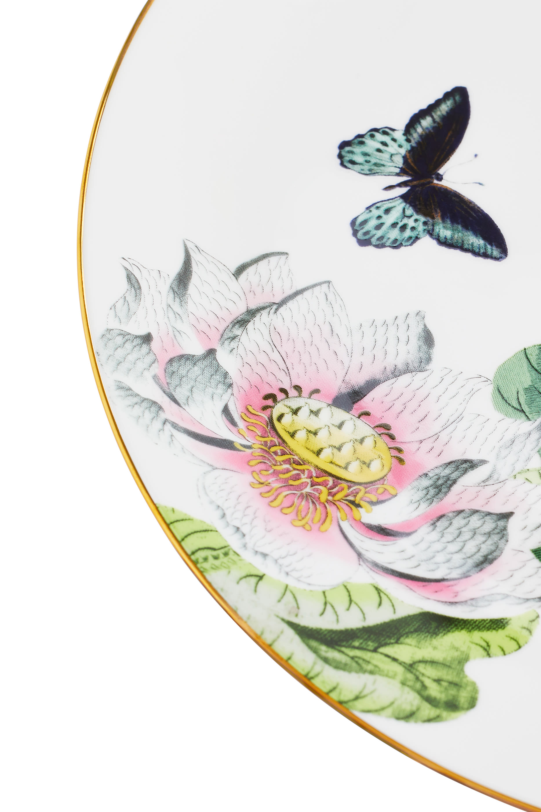 Wonderlust Waterlily Dinner Plate