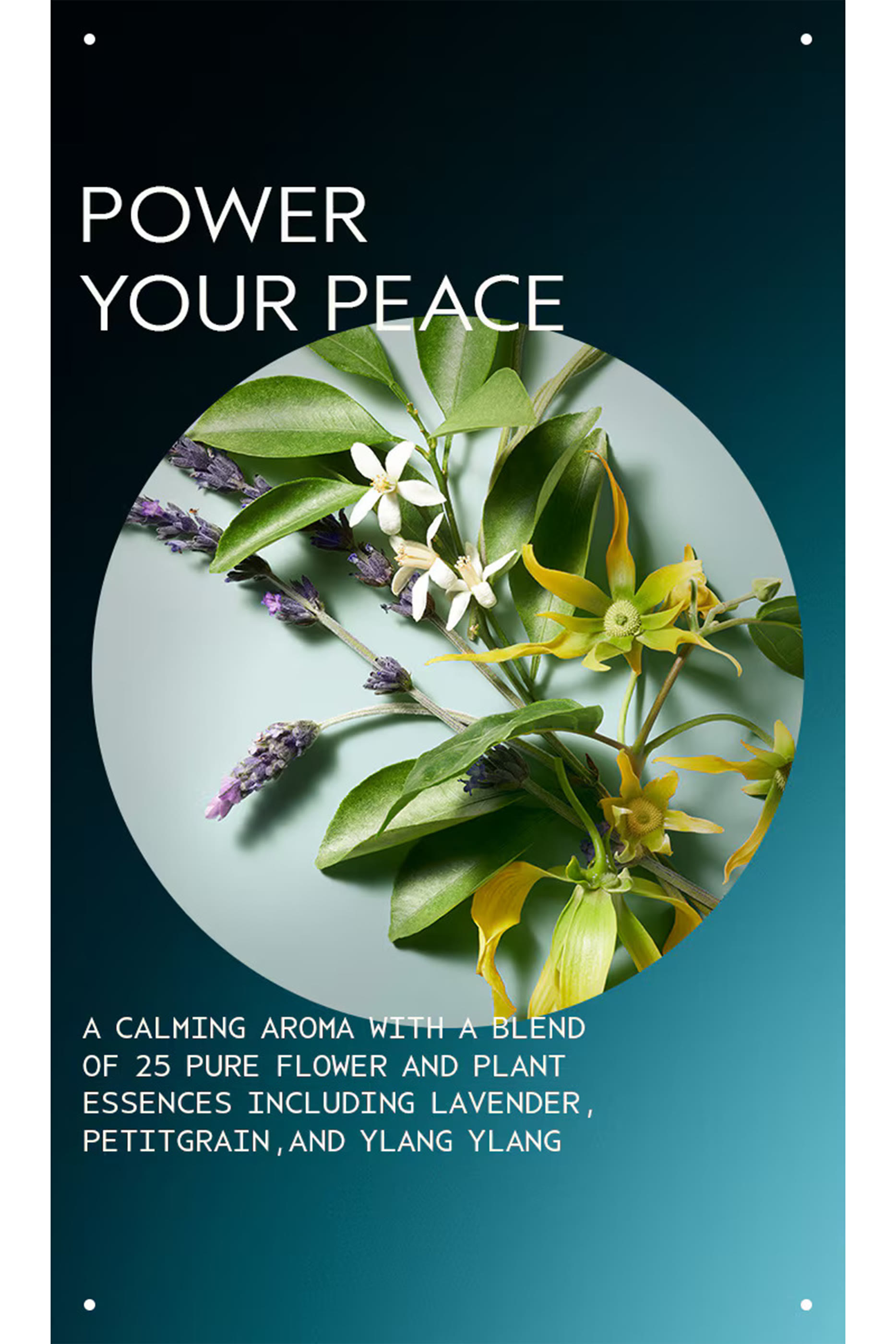 Shampowder&trade; Dry Shampoo