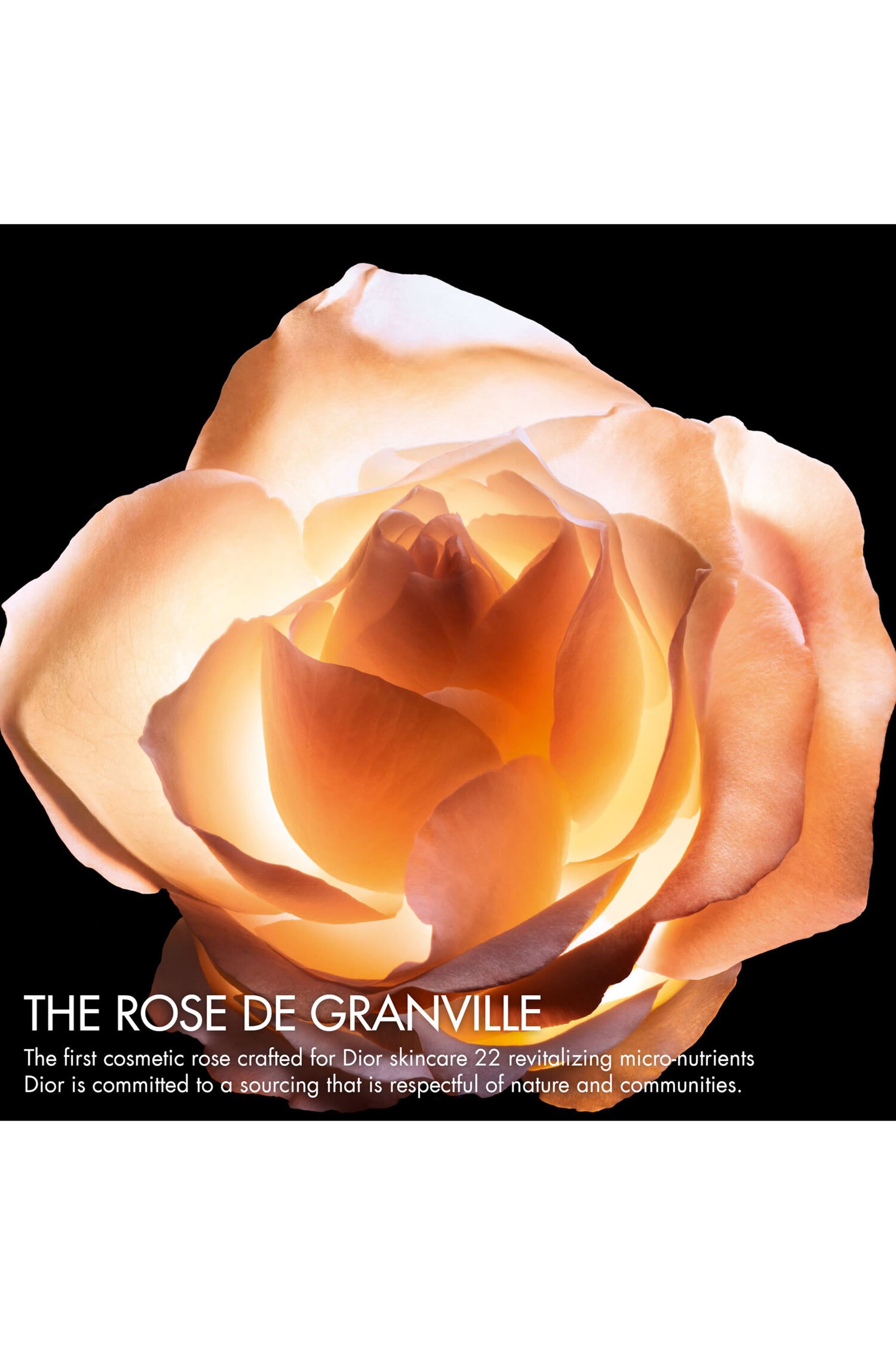 Prestige Le Concentr&eacute; Yeux Anti-Aging Care for Eye Contour