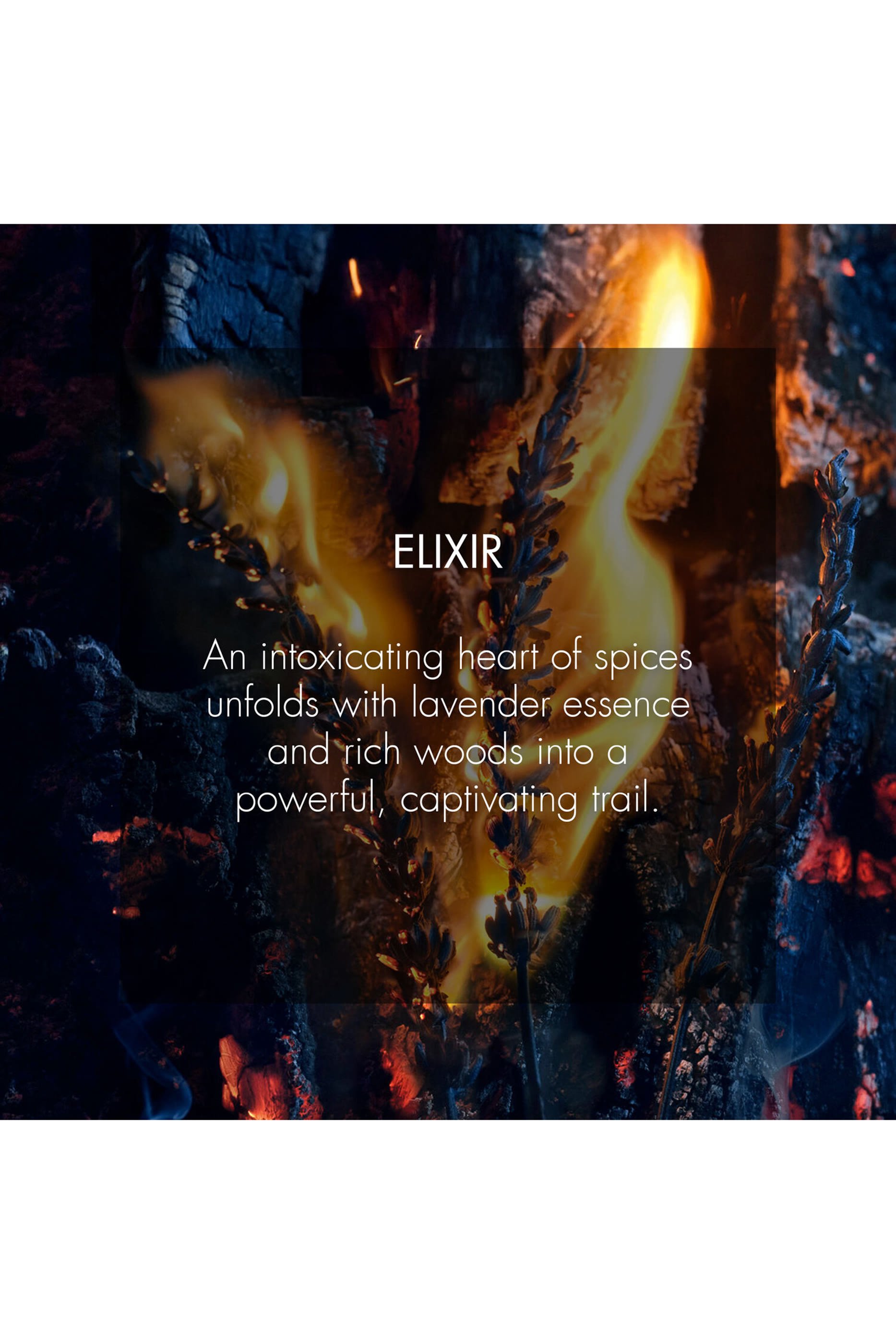 Sauvage Elixir Spray