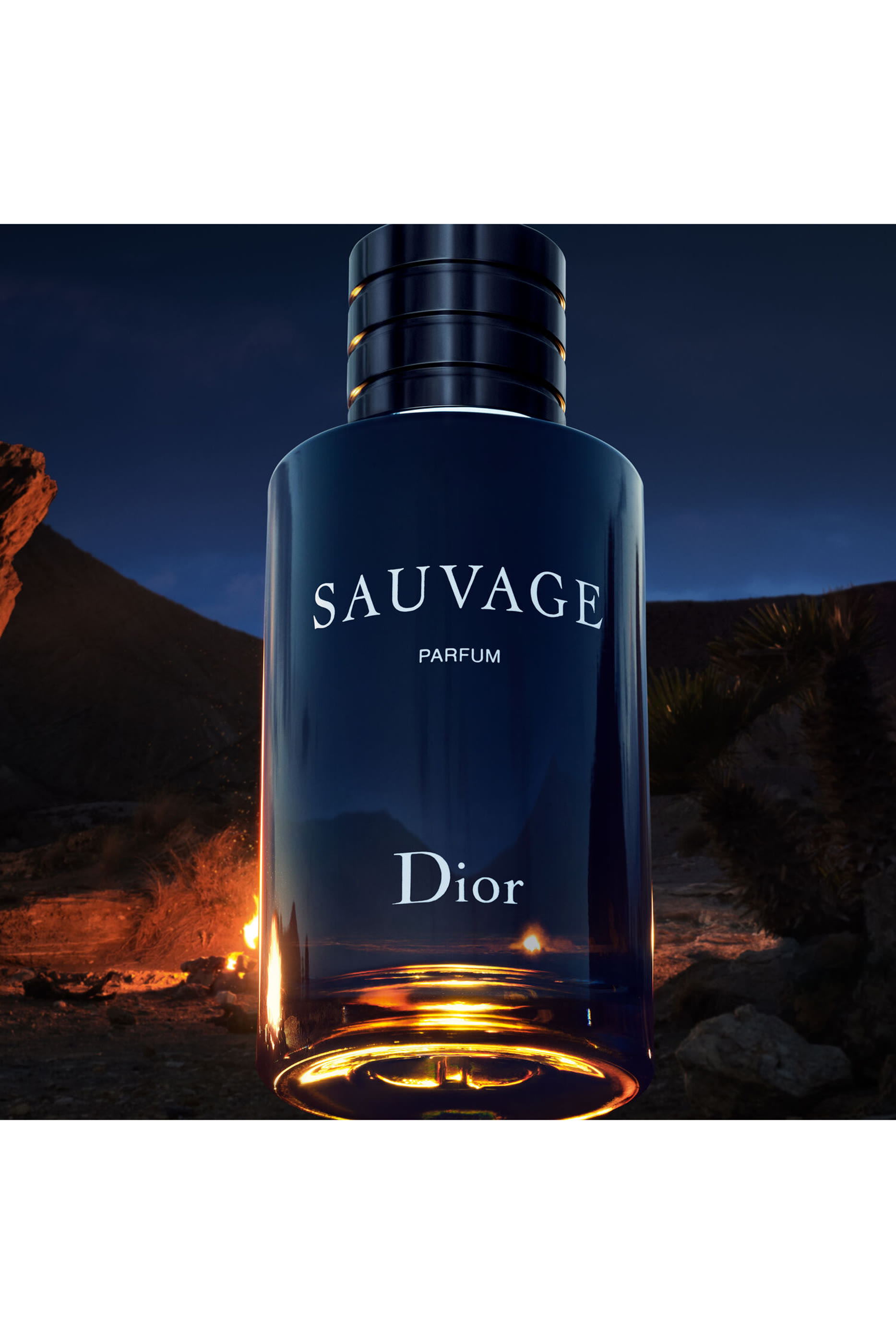 Sauvage Parfum