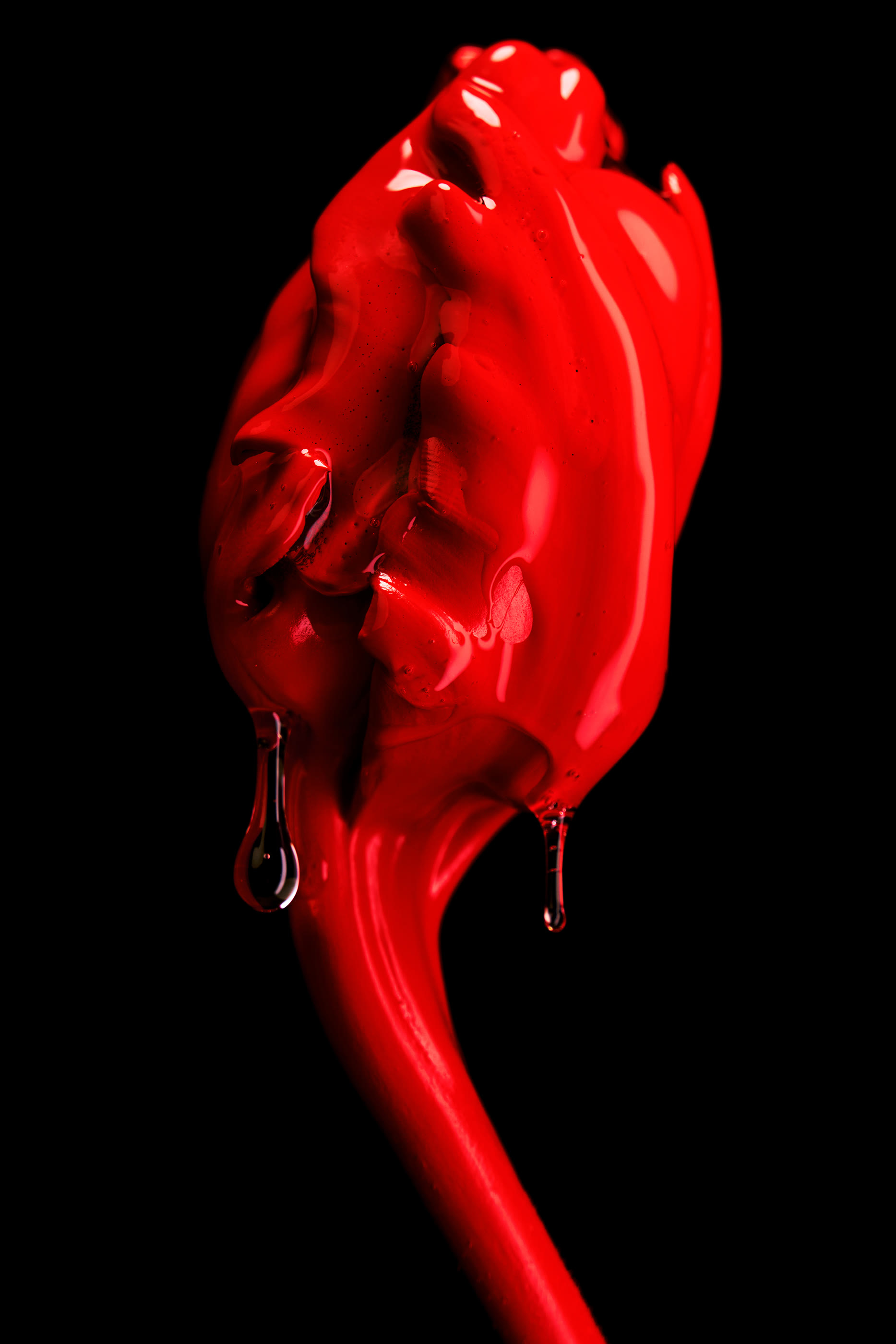 Rose of No Man&rsquo;s Land Absolu de Parfum