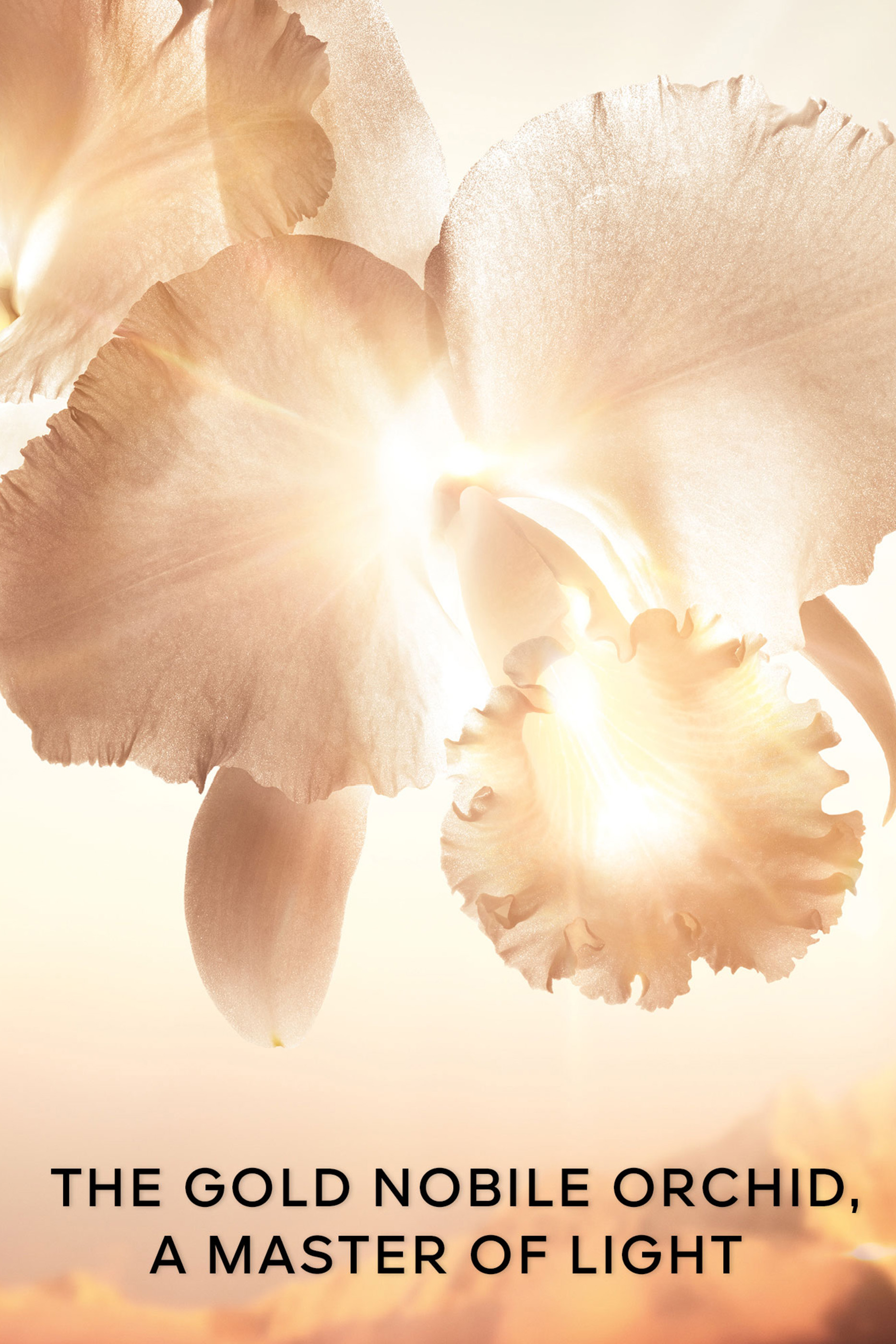 Orchid&eacute;e Imp&eacute;riale Gold Nobile Cream Refill