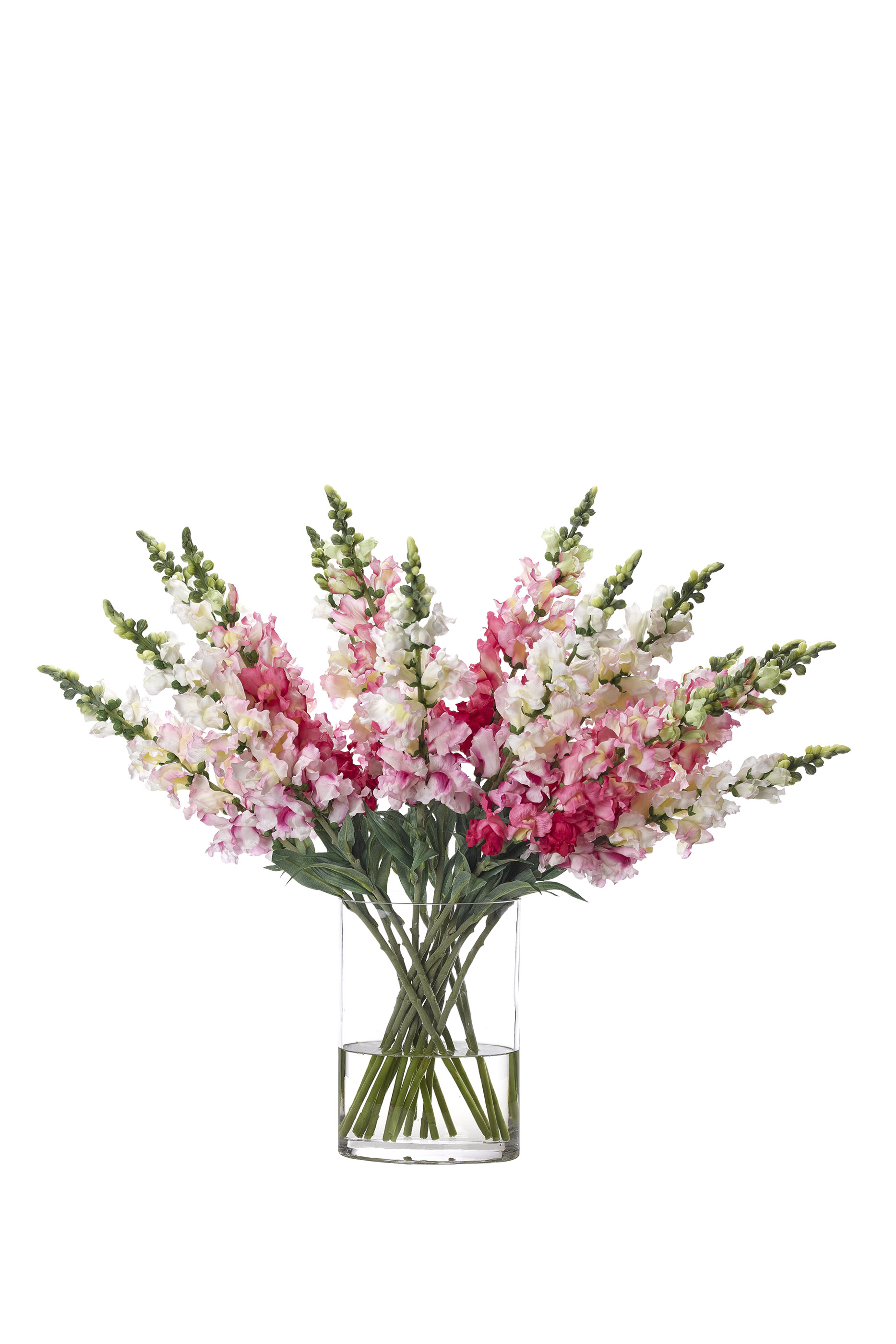 Snapdragon - Faux Watergarden