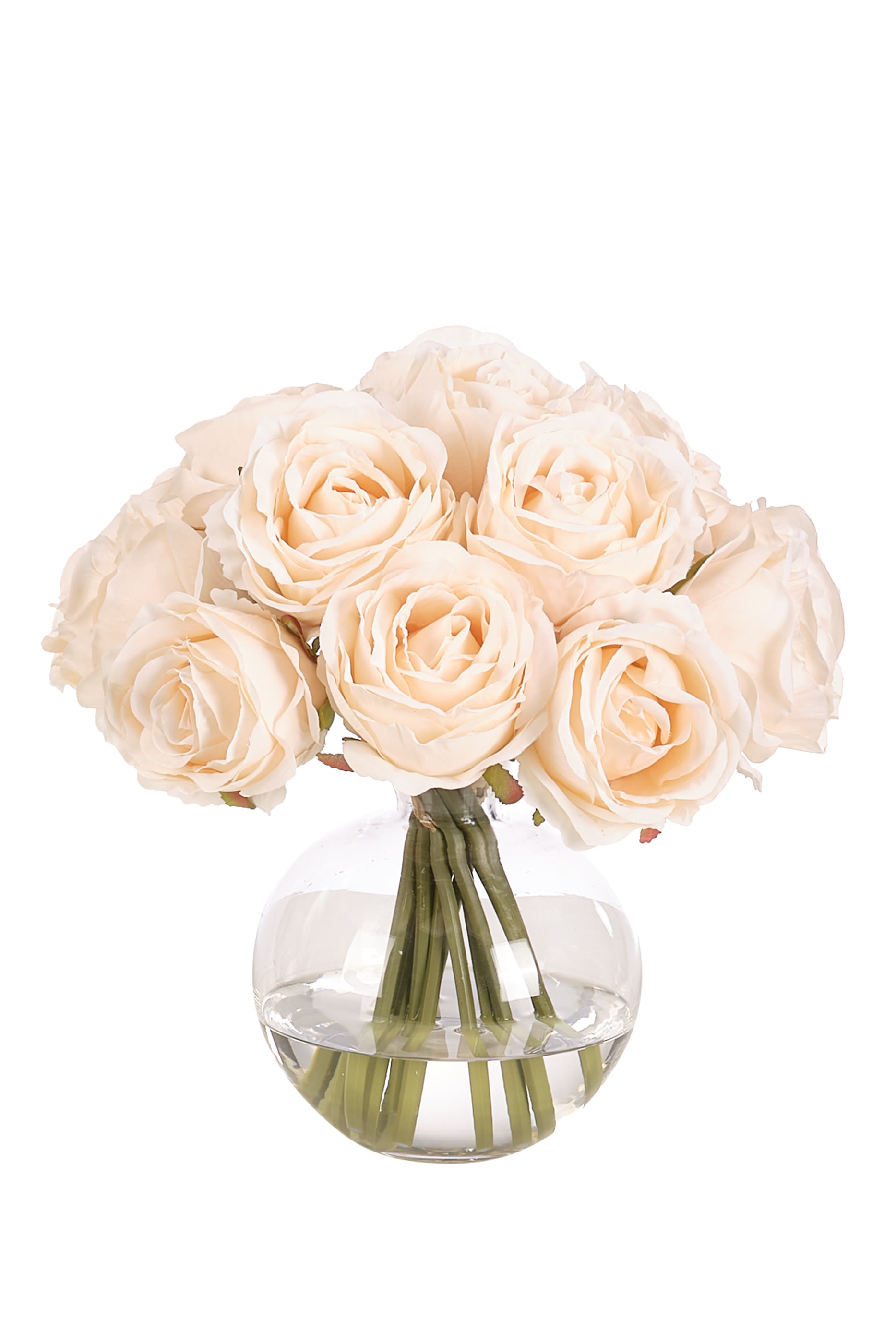 Rose in Glass Bubble Vase