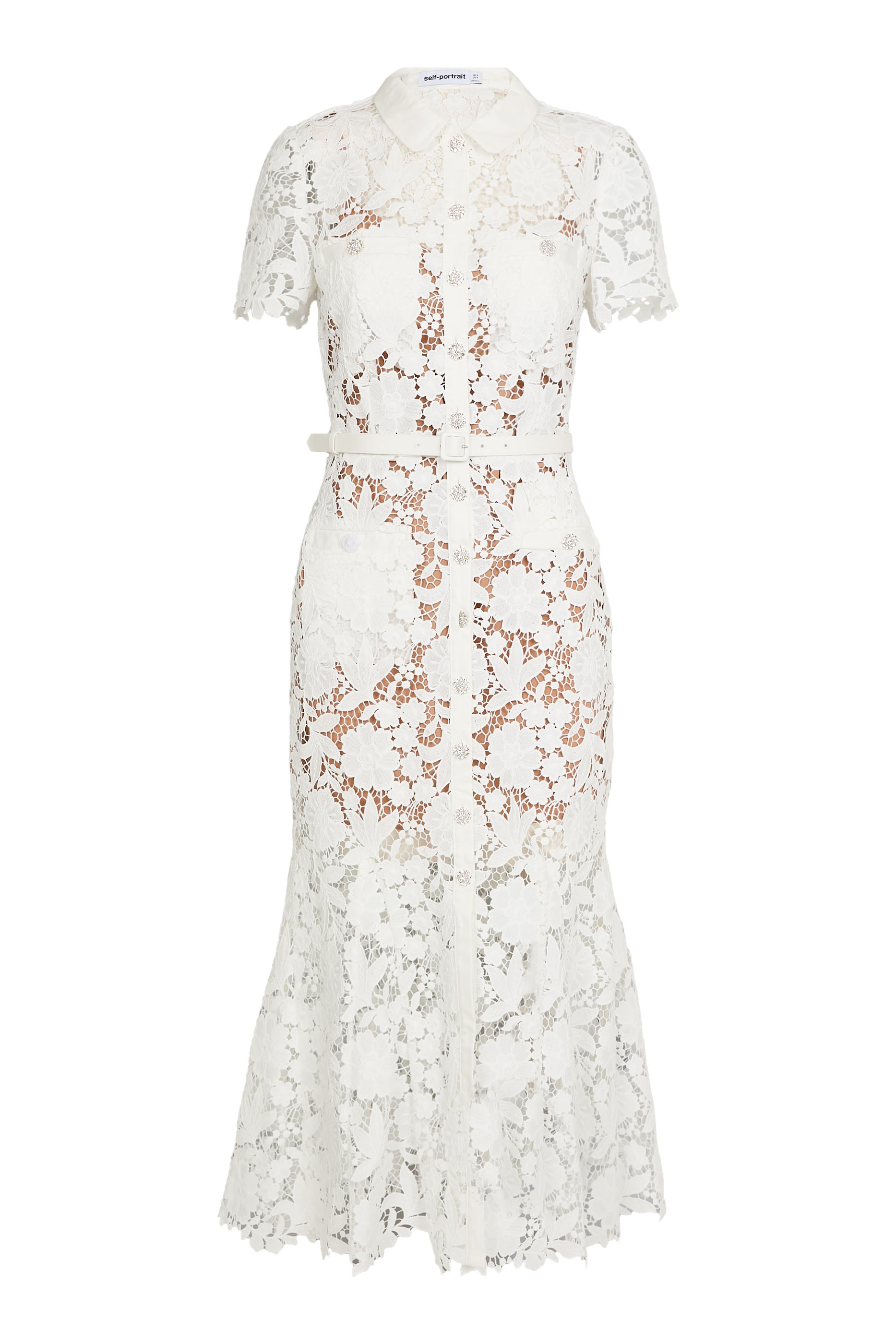 Lace Collared Midi Dress