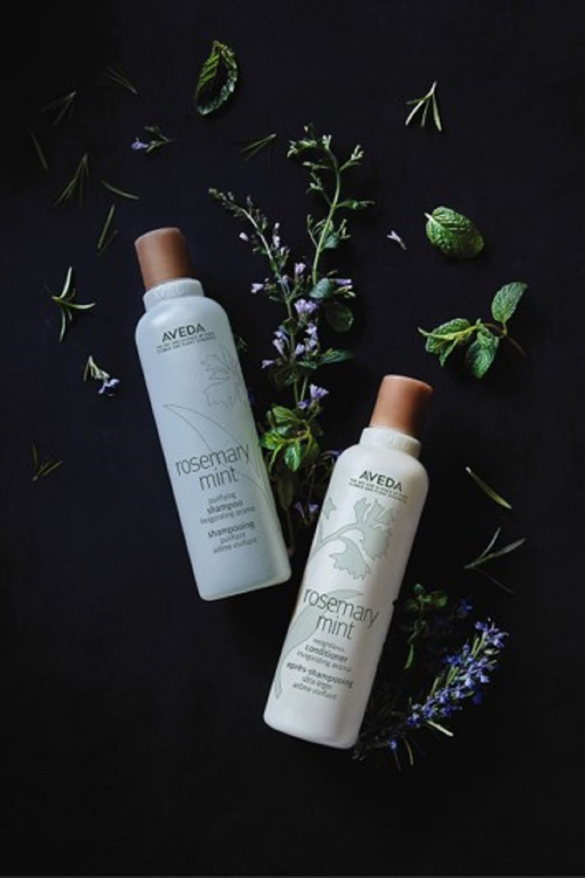 Rosemary Mint Purifying Shampoo
