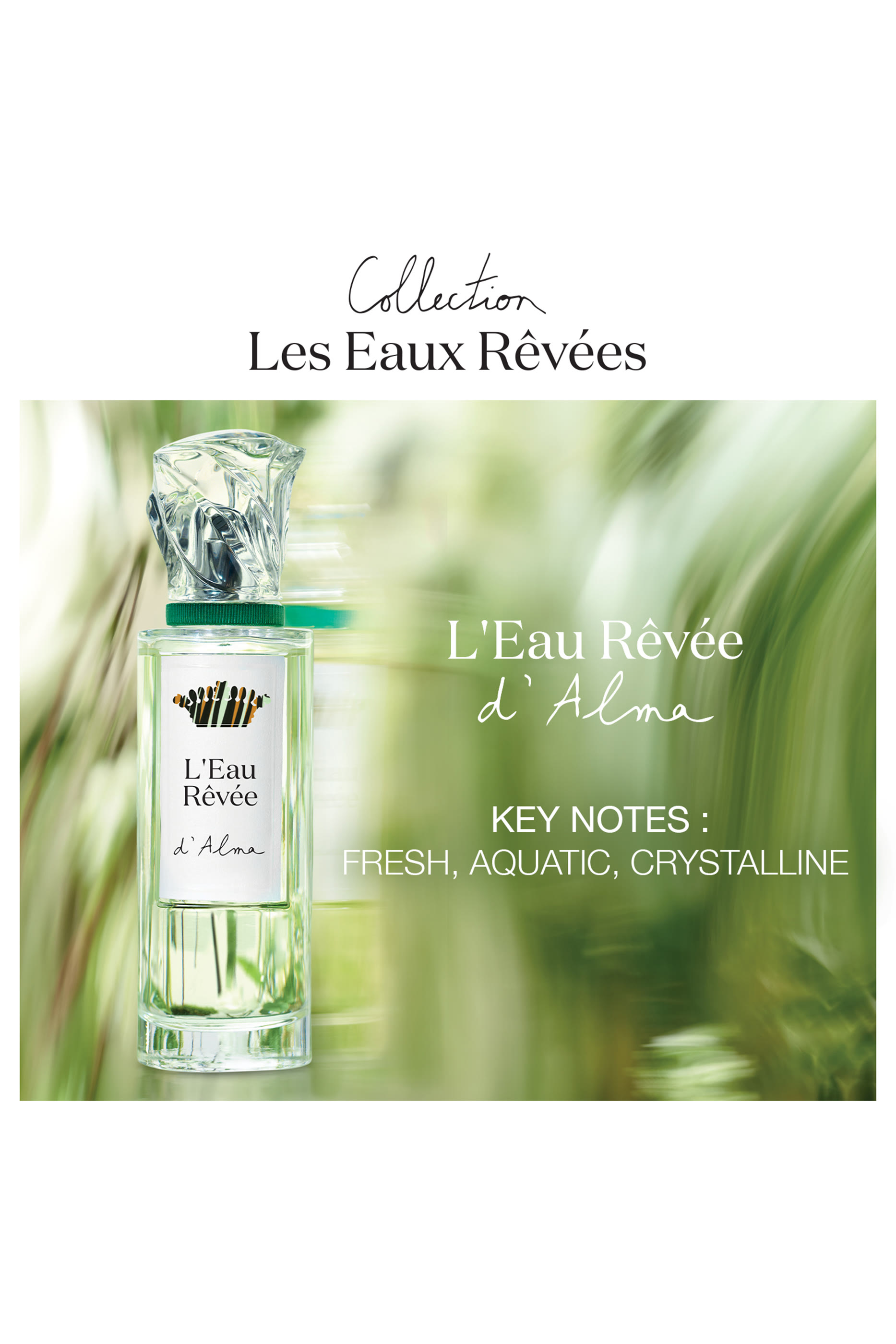 L'Eau Revee D'Alma Eau De Toilette