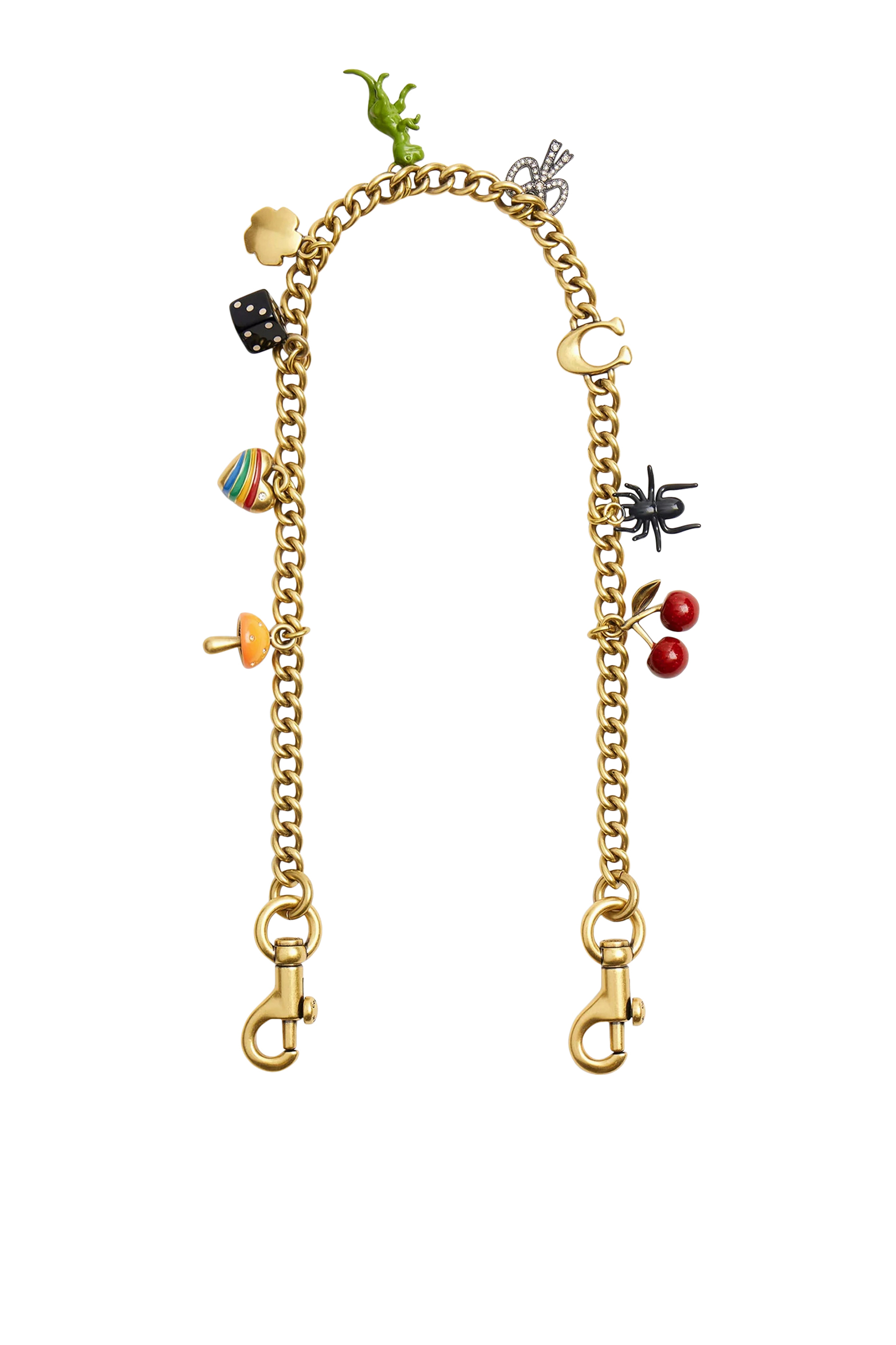 Chain Strap with Charms