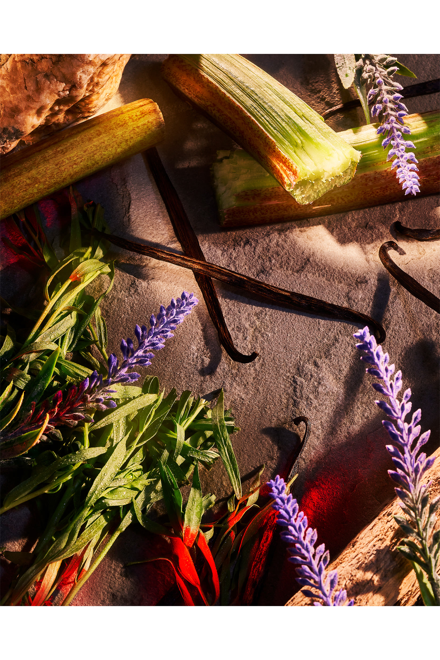 Danger Pour Homme Parfum 