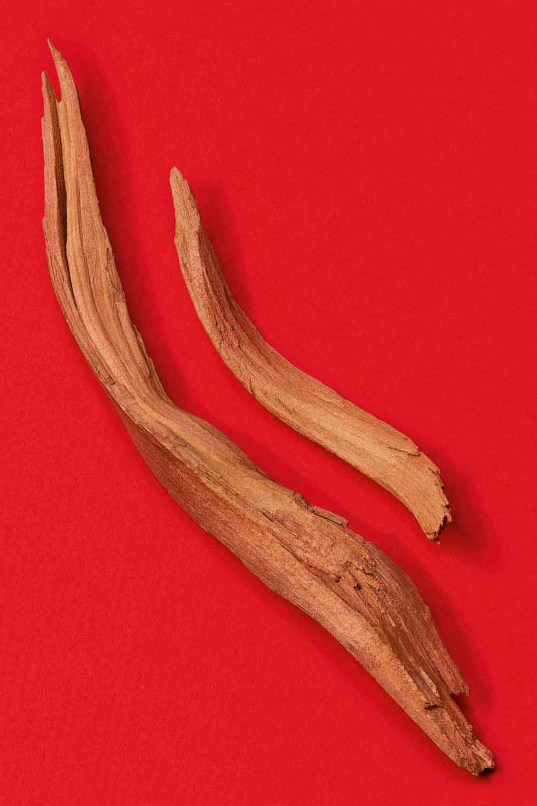 S&igrave; Passione Eau de Parfum Refill